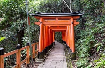 Red torii gates over a path at Fushimi Inari
